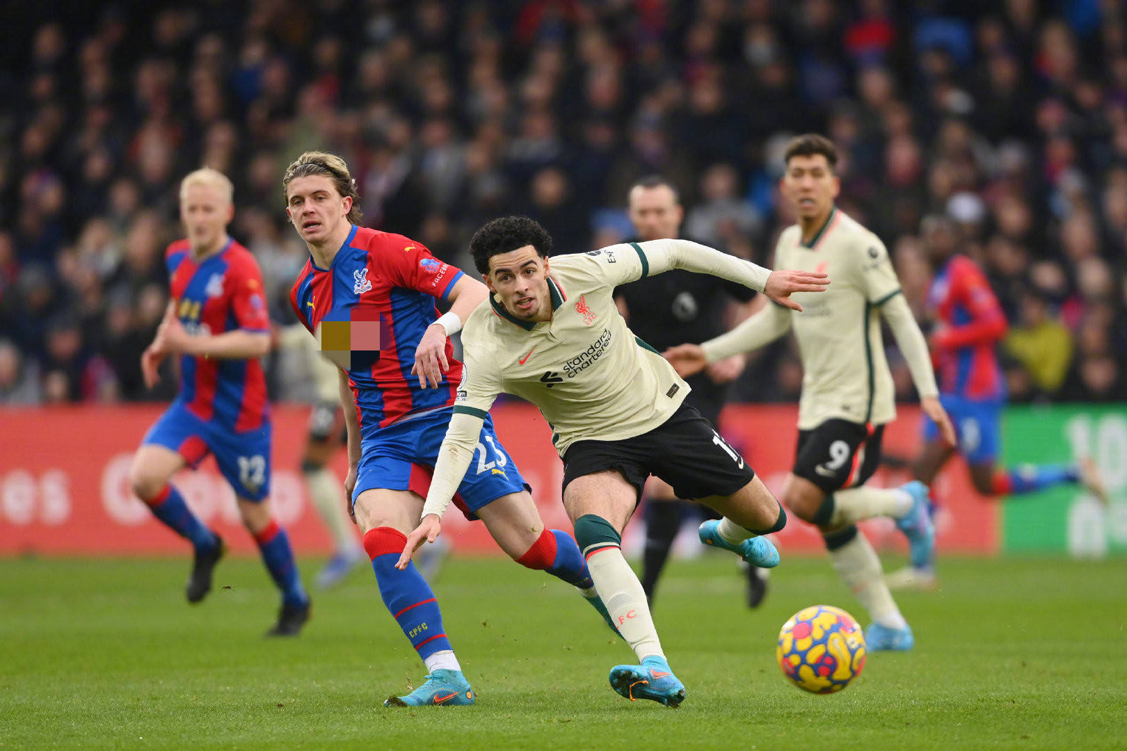 视为球队的 视为球队的